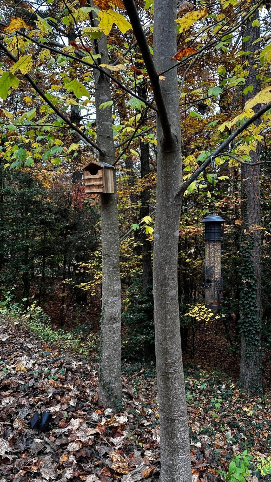 Appalachian Mountain Cabin-Updated-Private-Rafting On Ocoee River-Hiking-Waterfalls-Wifi-Pets Ok Murphy Esterno foto