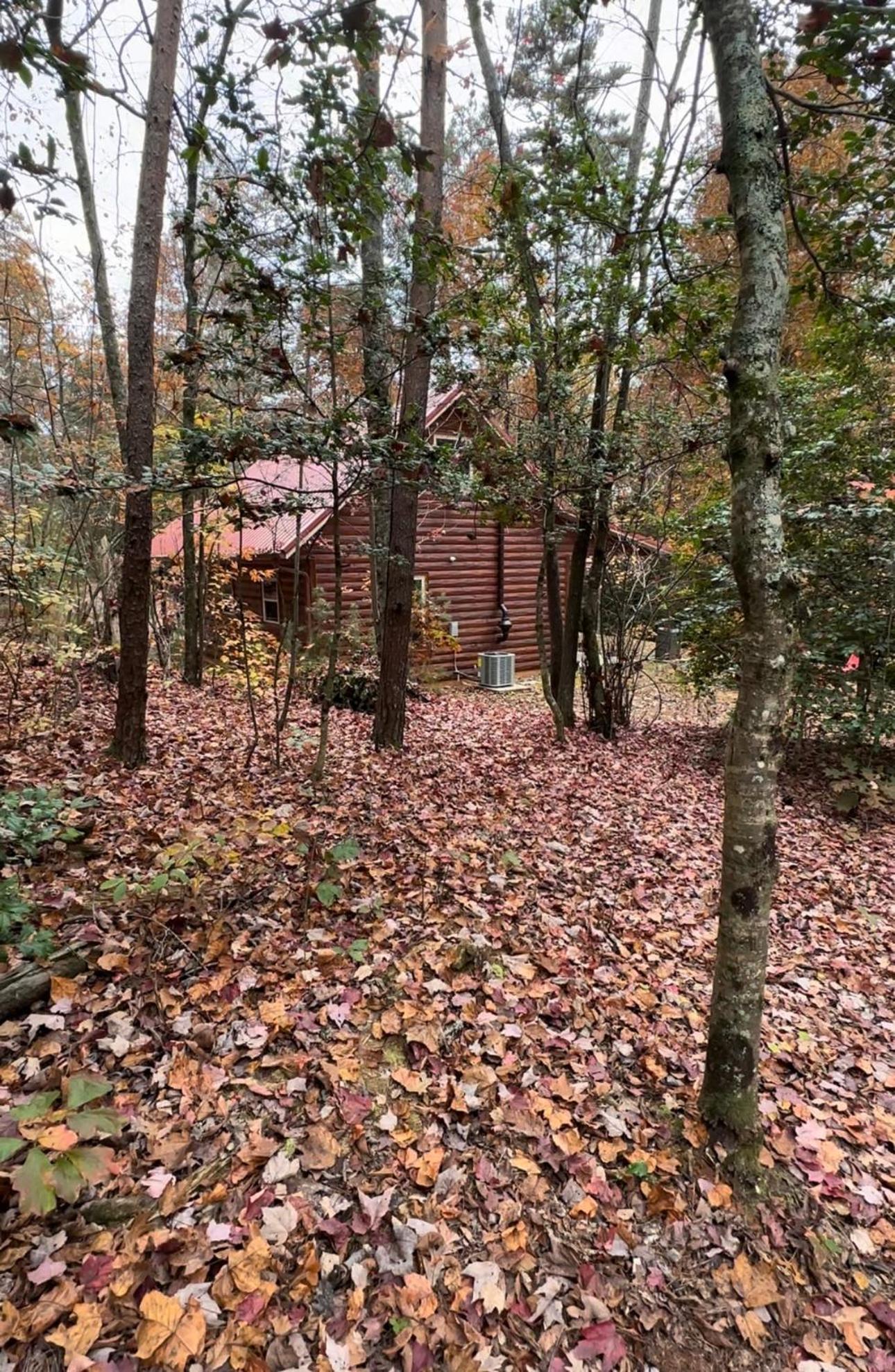 Appalachian Mountain Cabin-Updated-Private-Rafting On Ocoee River-Hiking-Waterfalls-Wifi-Pets Ok Murphy Esterno foto