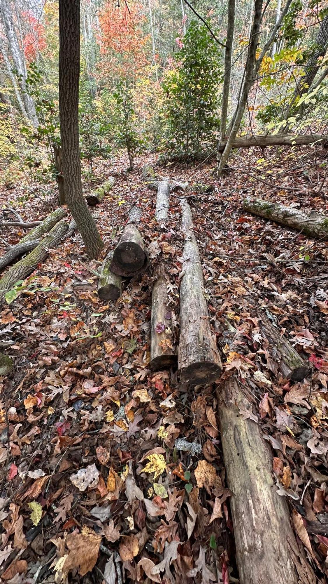 Appalachian Mountain Cabin-Updated-Private-Rafting On Ocoee River-Hiking-Waterfalls-Wifi-Pets Ok Murphy Esterno foto