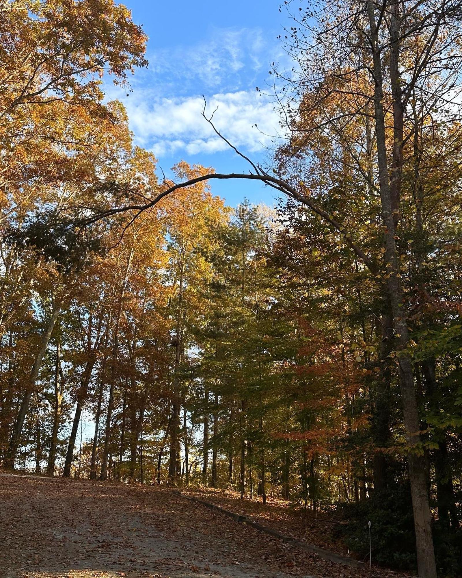Appalachian Mountain Cabin-Updated-Private-Rafting On Ocoee River-Hiking-Waterfalls-Wifi-Pets Ok Murphy Esterno foto