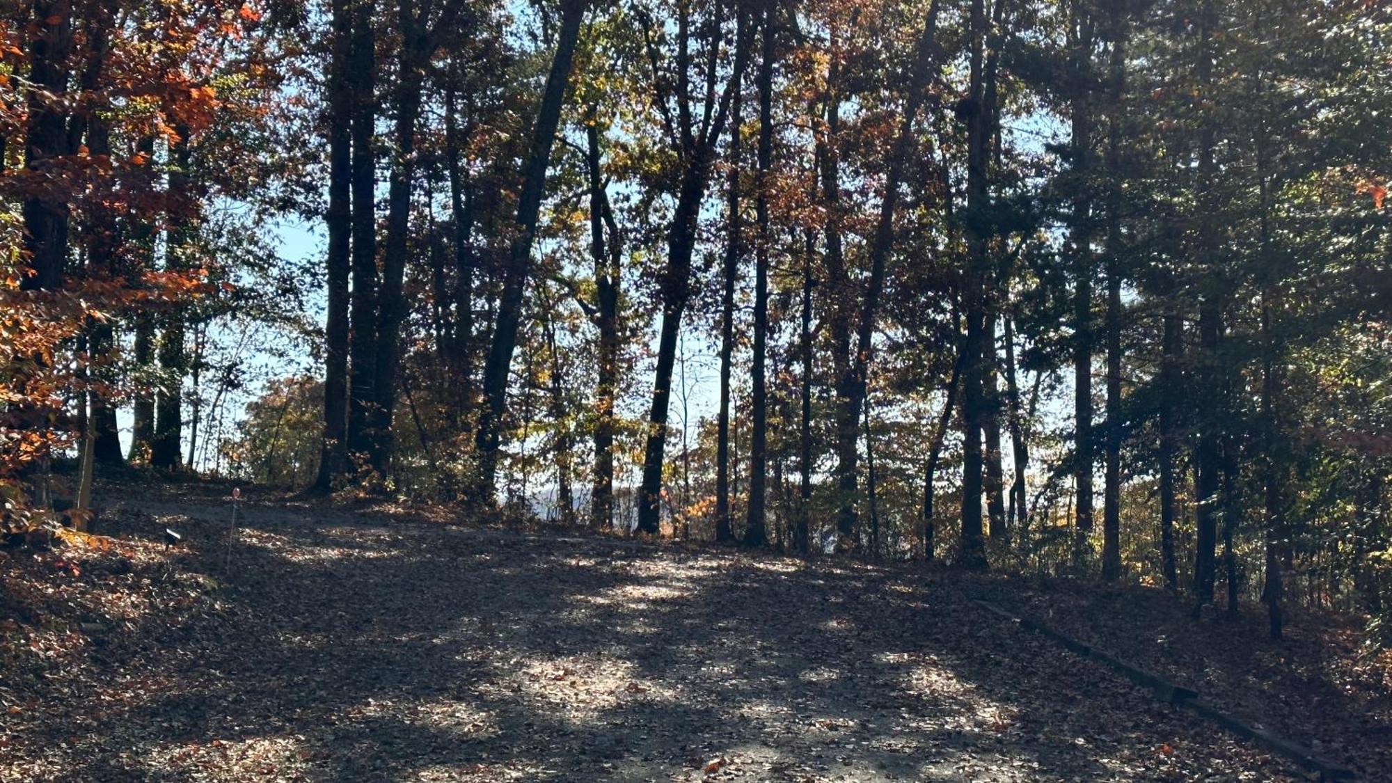Appalachian Mountain Cabin-Updated-Private-Rafting On Ocoee River-Hiking-Waterfalls-Wifi-Pets Ok Murphy Esterno foto
