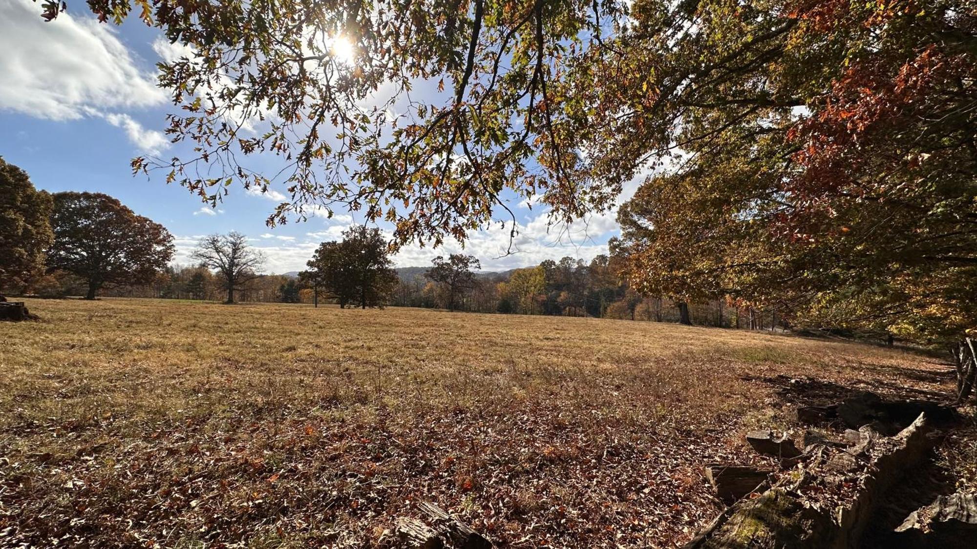Appalachian Mountain Cabin-Updated-Private-Rafting On Ocoee River-Hiking-Waterfalls-Wifi-Pets Ok Murphy Esterno foto